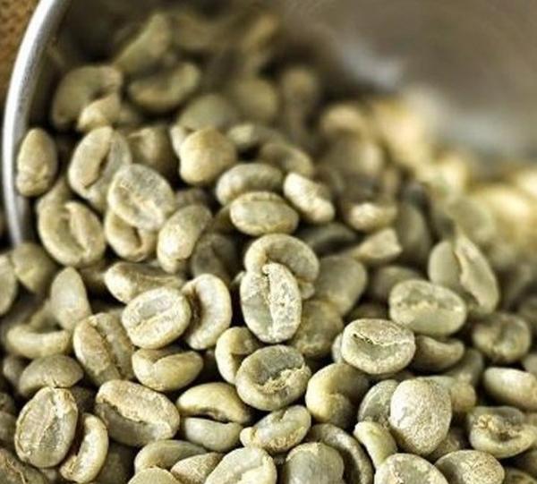 Special green coffee Image