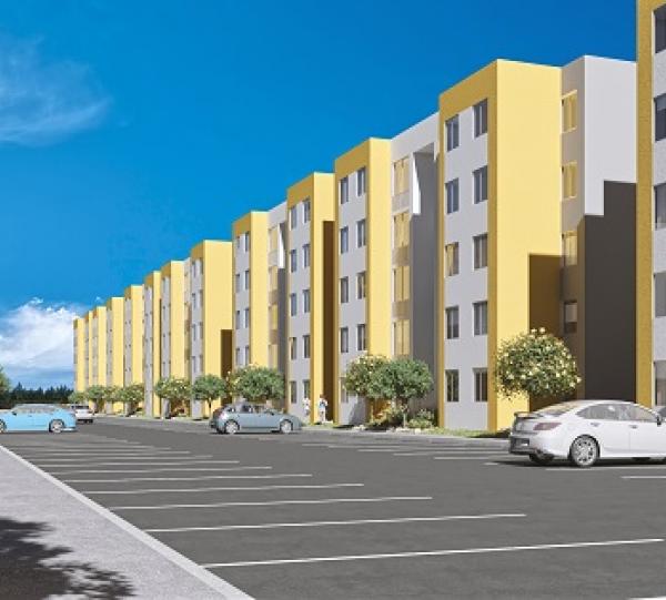 Guayacán de las Garzas Image