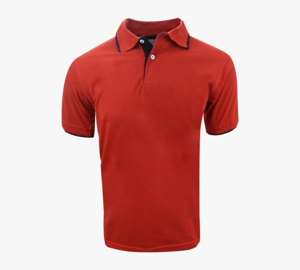 Women's and men's polo shirts Image