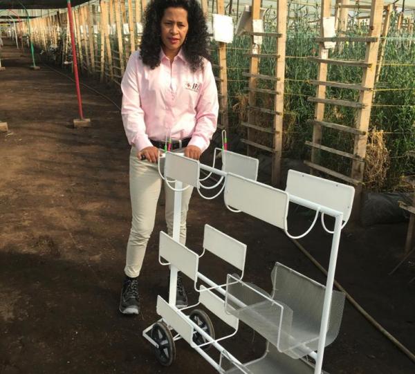 Clipped flower / supply cart Image