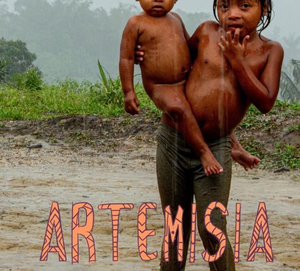 Artemisia (short film documentary/animation) Image