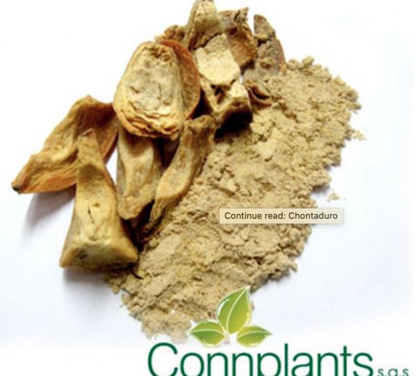 Bactris gasipaes Image