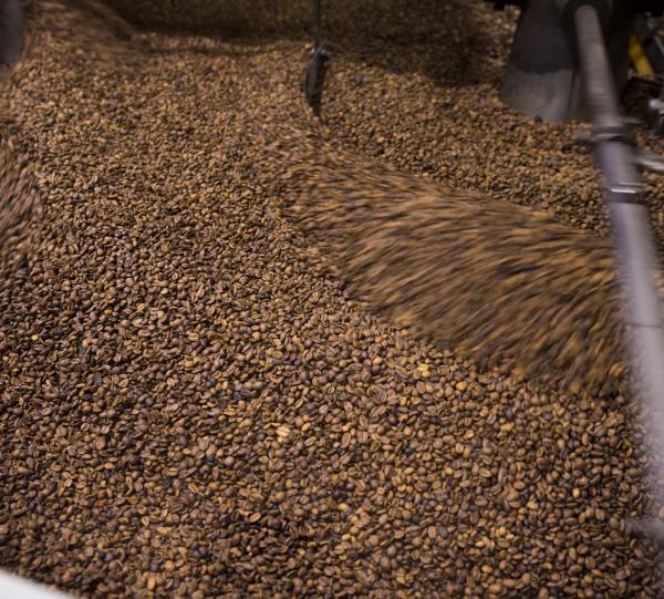 ROASTED COFFEE Image