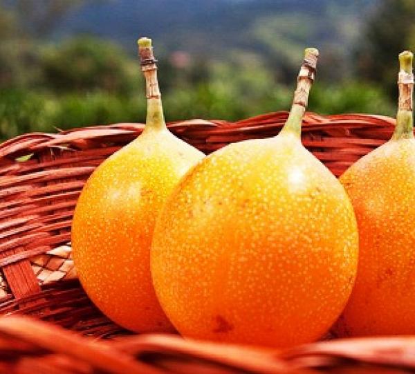 Granadilla Image