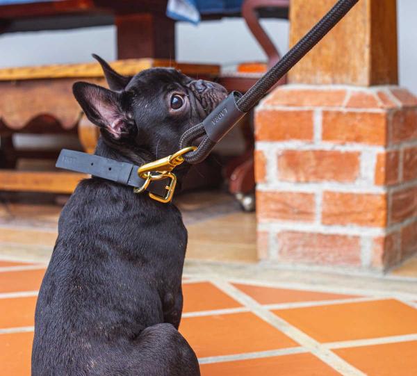 COMFORT LEATHER Image