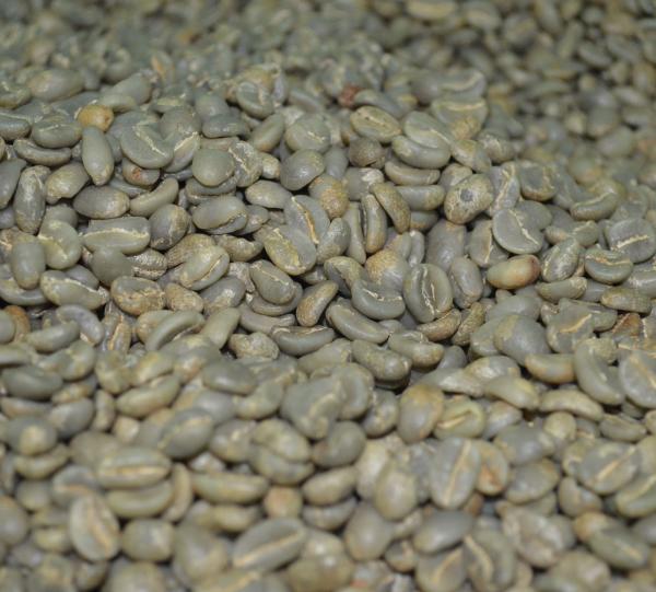 Microlote Alejandro Ortiz Image