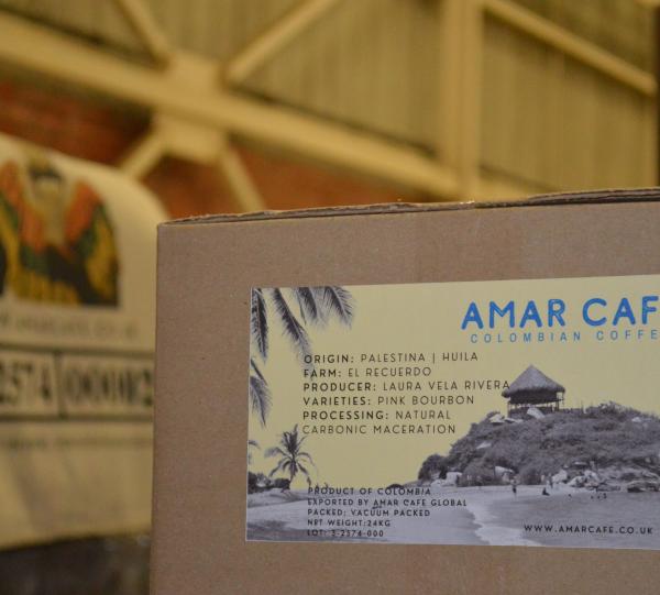 Microlote Alejandro Ortiz Image