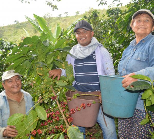 Microlote Alejandro Ortiz Image