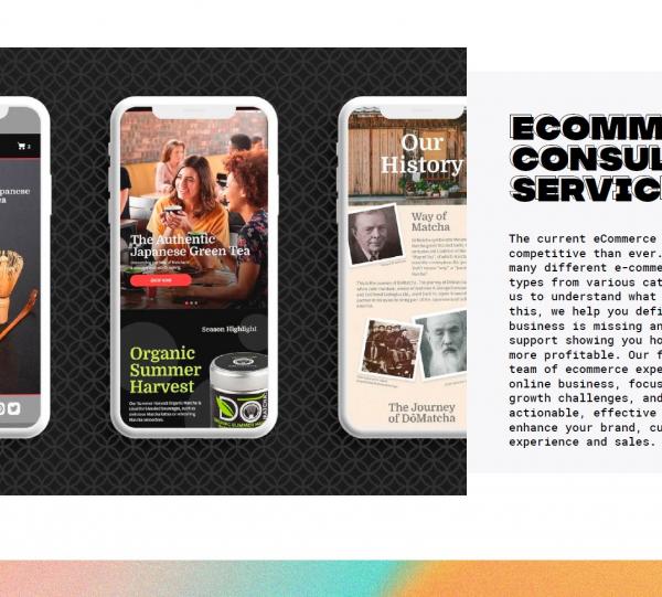 Web Development and E-commerce consulting services Image