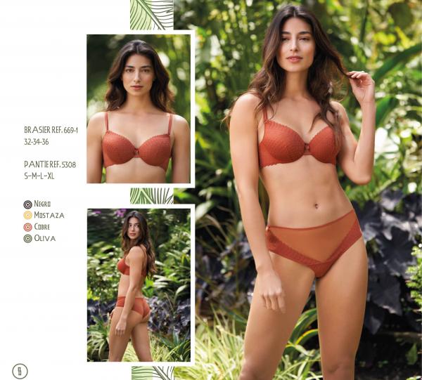 Lace Bra / lace panty Image