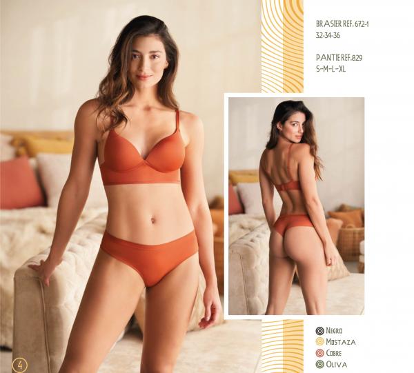 Lycra Bra / Lycra Panty Image