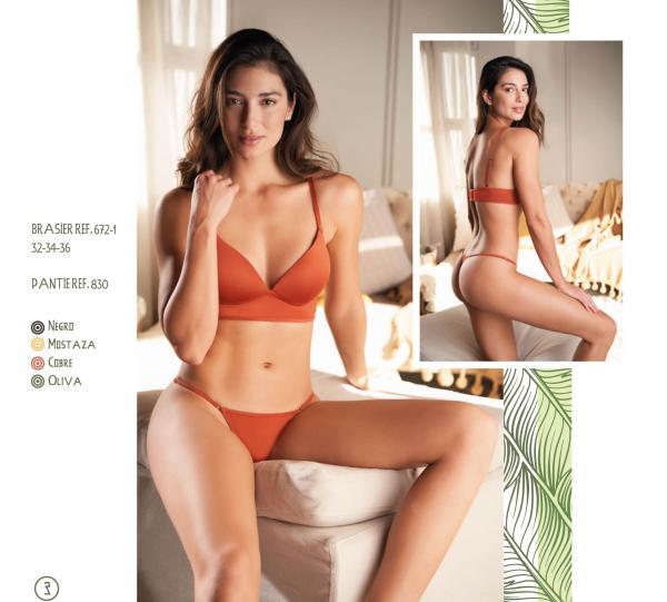 Lycra Bra / Lycra Panty Image