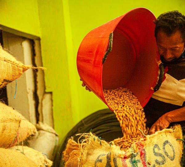 Mauza´s Green specialty Colombian coffee beans Image