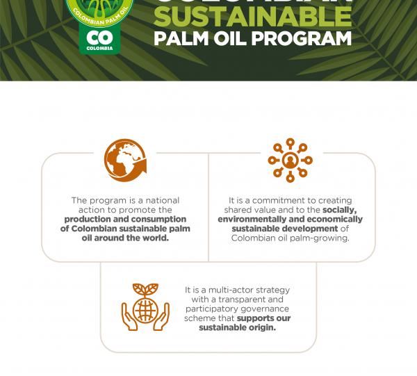 SUSTAINABLE COLOMBIAN PALM OIL Image