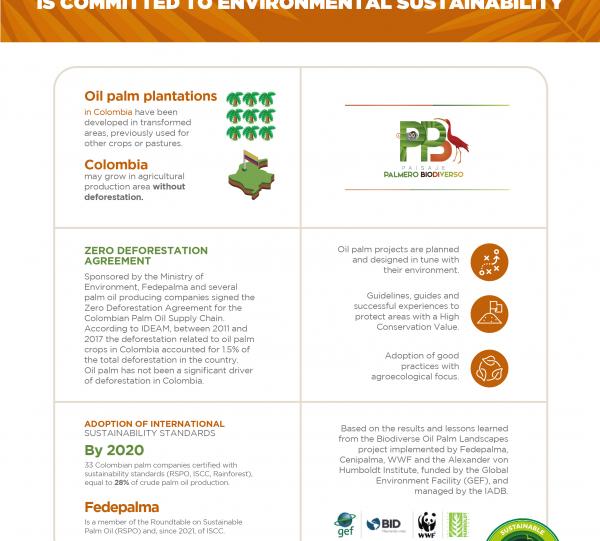 SUSTAINABLE COLOMBIAN PALM OIL Image