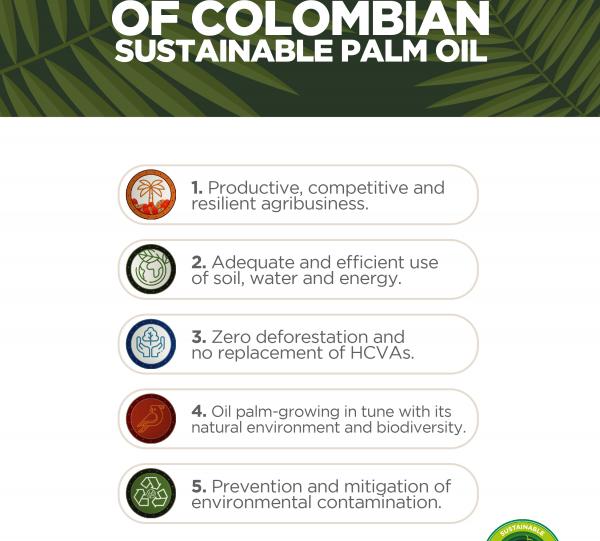 SUSTAINABLE COLOMBIAN PALM OIL Image