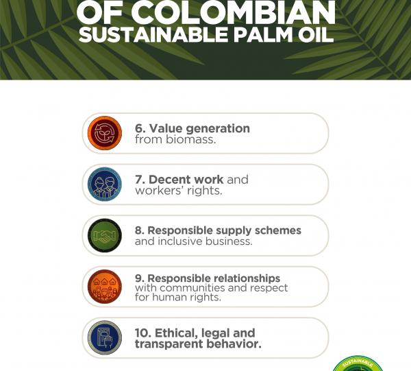 SUSTAINABLE COLOMBIAN PALM OIL Image