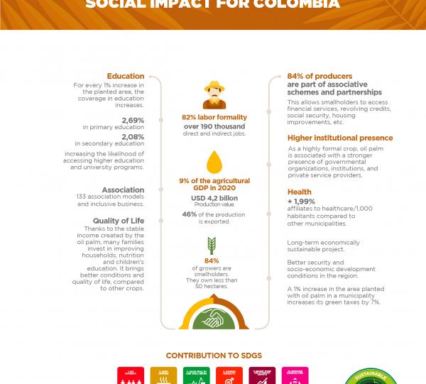 SUSTAINABLE COLOMBIAN PALM OIL Image