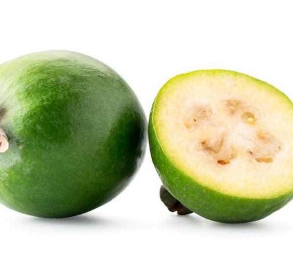 Feijoa Image