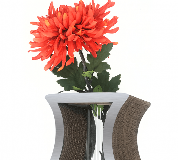 Solitario forma Image