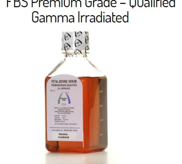 Fetal Bovine Serum - Sterile Image