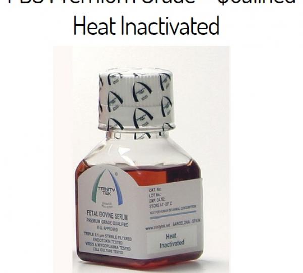 Fetal Bovine Serum - Sterile Image