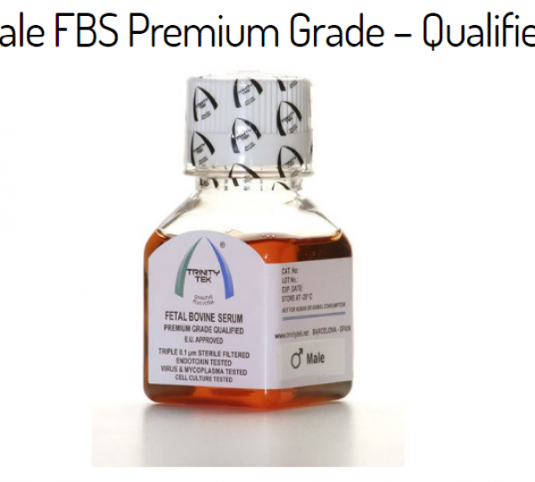 Fetal Bovine Serum - Sterile Image