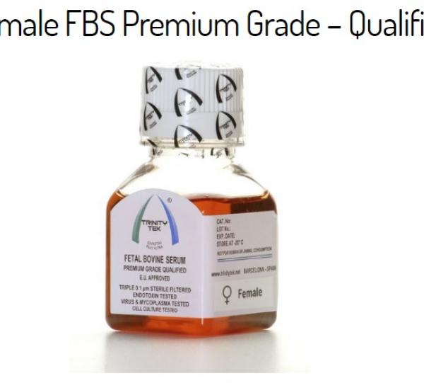 Fetal Bovine Serum - Sterile Image