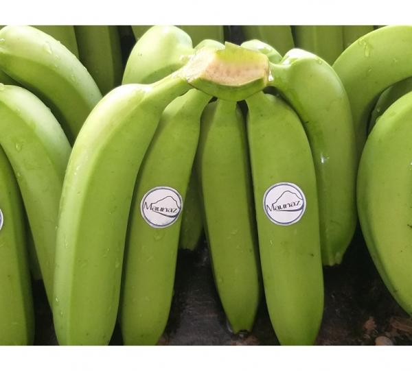 Conventional Fair Trade Banana Image