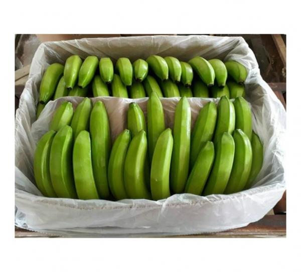 Conventional Fair Trade Banana Image