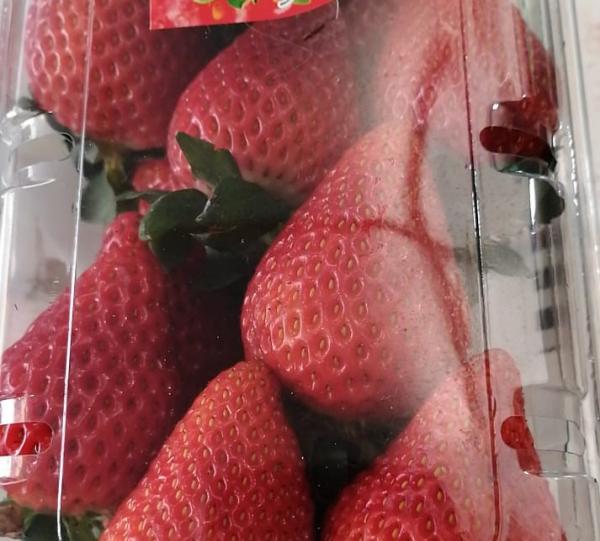 Fresh and Frozen Strawberry Image
