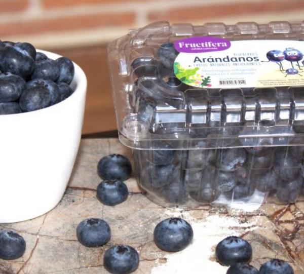 Blueberries