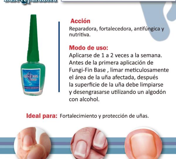 FUNGI FIN REPAIR BASE Image