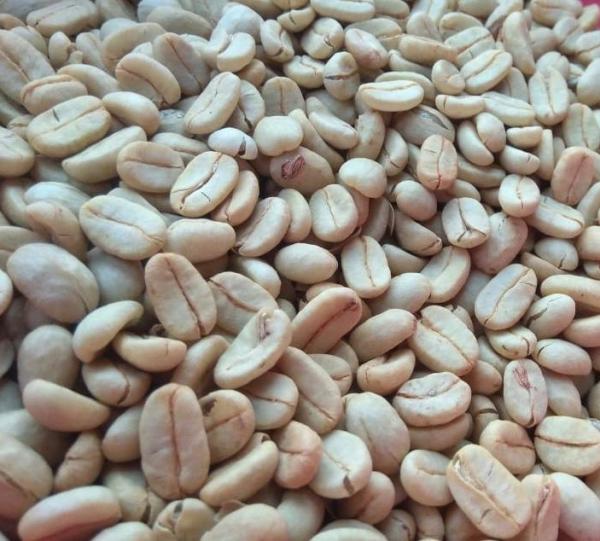 SPECIAL COFFEE Image