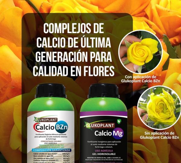 Glukoplant CaMg Image