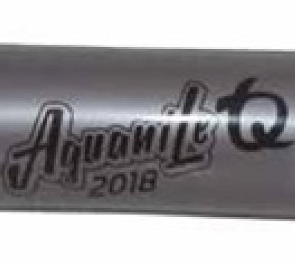 pickguard in pvc Image