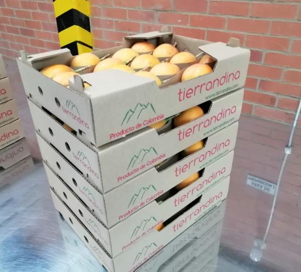 Granadile/ Sweet Passion Fruit - Passiflora ligularis Image