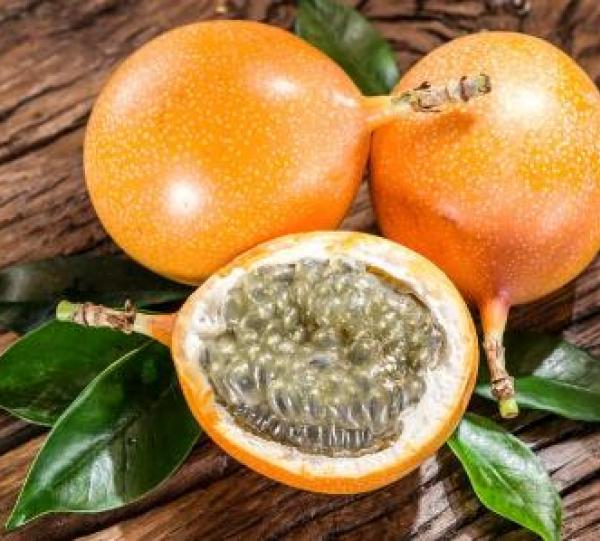 Granadilla Image
