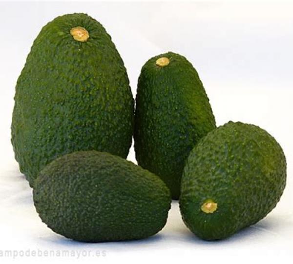 Hass Avocado Image