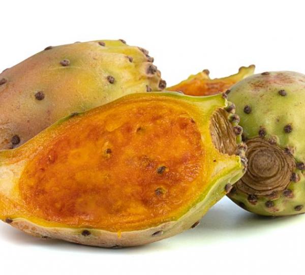 Cactus Fig Image