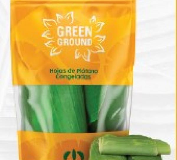 Plantain Leaves Image