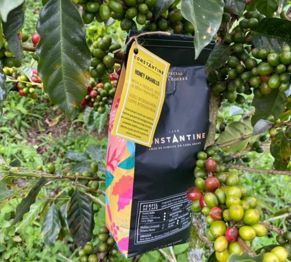 Yellow Honey Roasted specialty coffee beans or ground x 500 gr Image