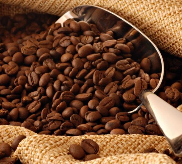 Roasted Coffee Beans Image