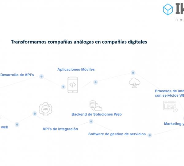 Development of custom software Image