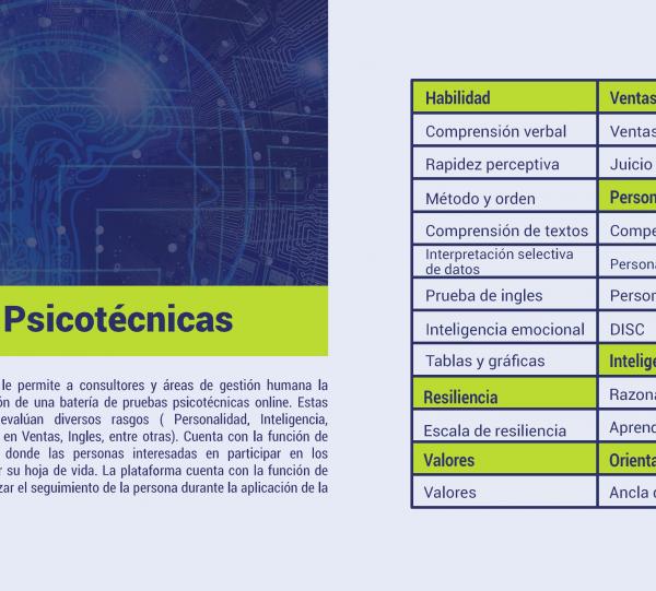 PSYCHOTECHNICAL TESTING PLATFORM Image