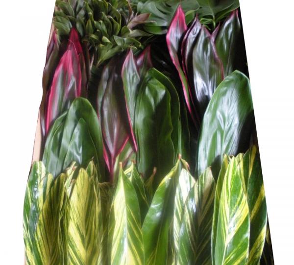 Ornamental tropical foliage Image