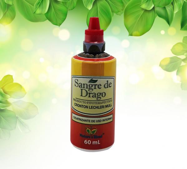 SANGRE DE DRAGO.  (CROTON LECHLERI MIULL ARG. ) – PHYTOTHERAPEUTIC. Image