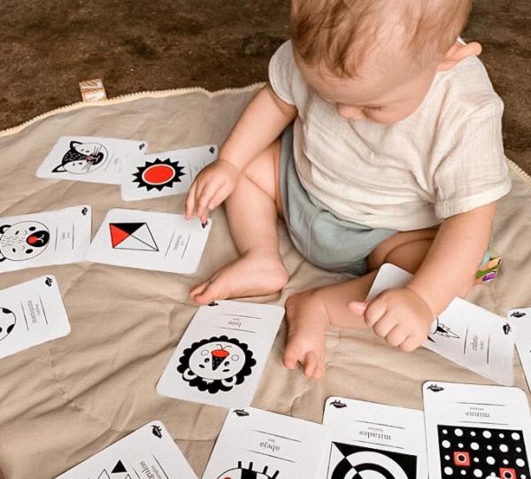 Flash Cards High Contrast Image