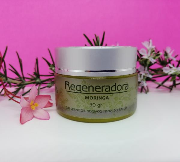 Nourishing Moringa Image