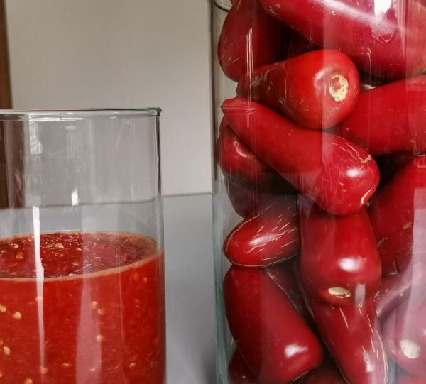 Jalapeno chili pepper (red or green) Image